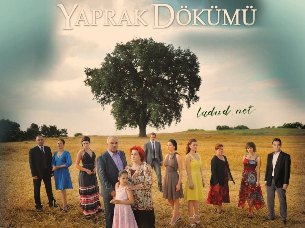 Poveste de familie, serial turcesc subtitrat romana online complet Poveste de familie, serial turcesc subtitrat romana online complet
